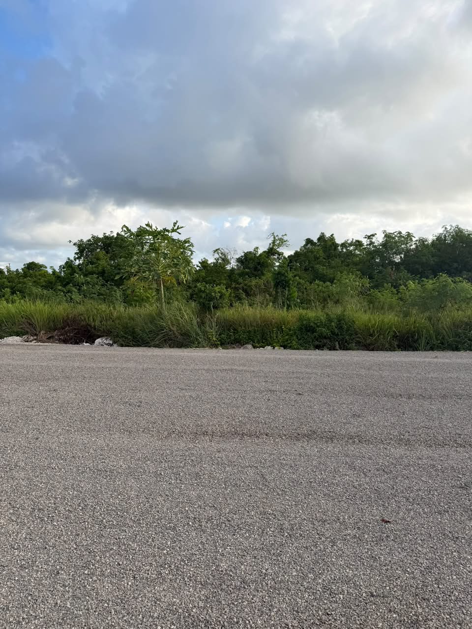 Brisas de Punta Cana | Solares residenciales en Bávaro desde US$120/m²