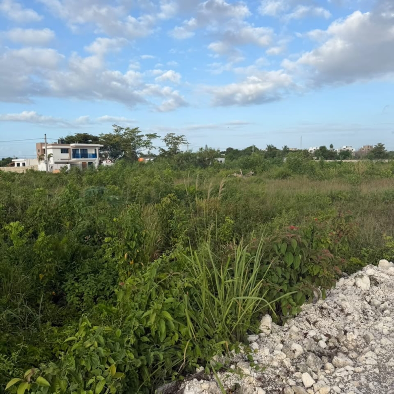 Brisas de Punta Cana | Solares residenciales en Bávaro desde US$120/m²