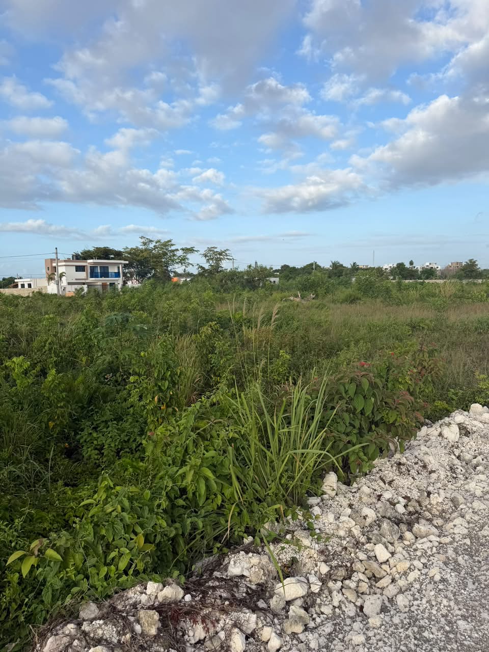 Brisas de Punta Cana | Solares residenciales en Bávaro desde US$120/m²