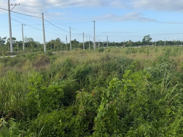Brisas de Punta Cana | Solares residenciales en Bávaro desde US$120/m²